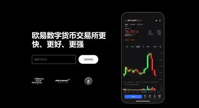 988pay钱包平台展示图